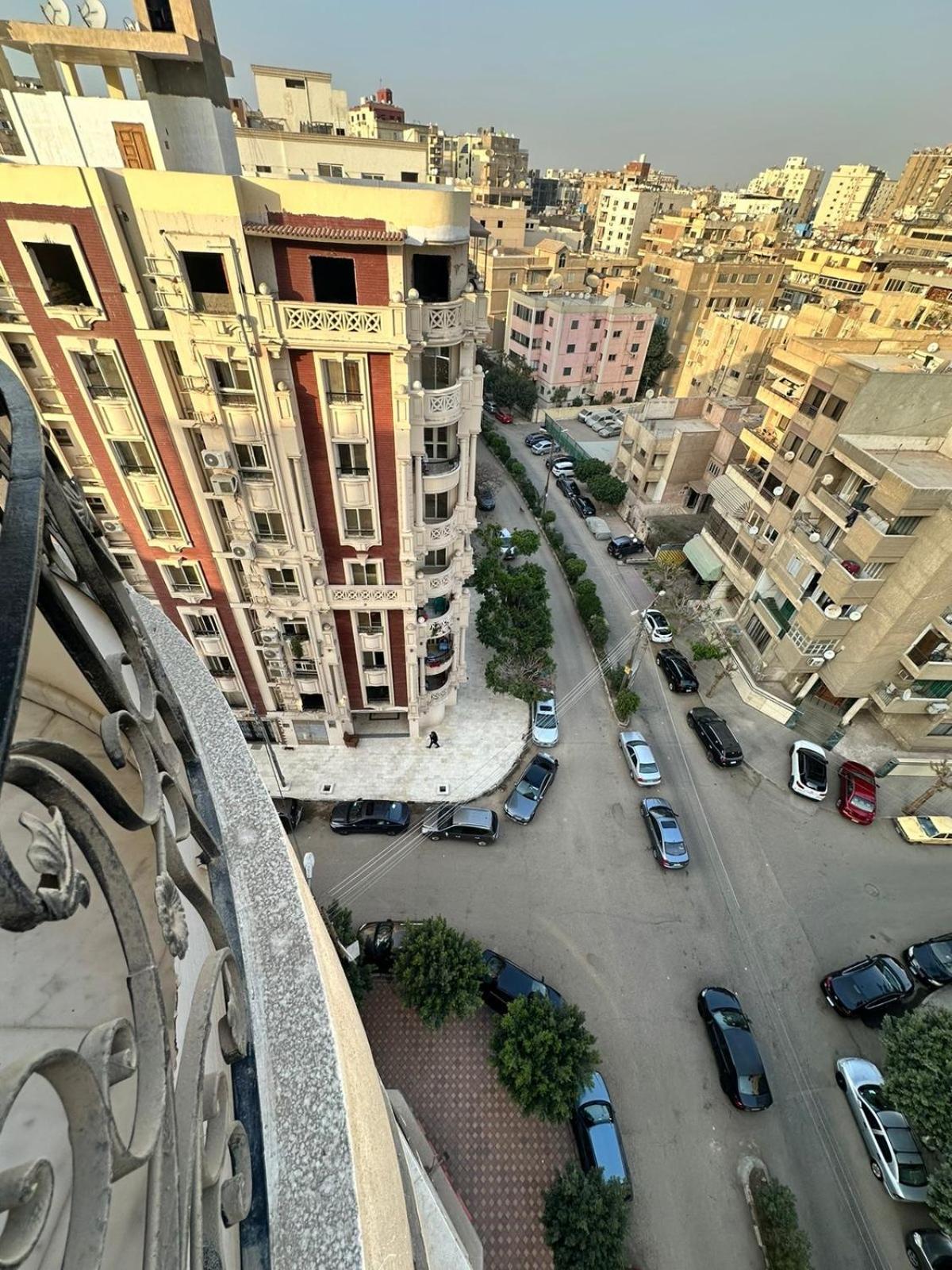 The Oasis El Cairo
